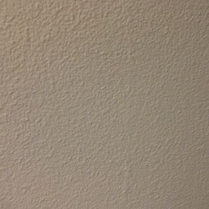 Meet your Posher, Anne